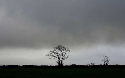 春天下雪幽默句子