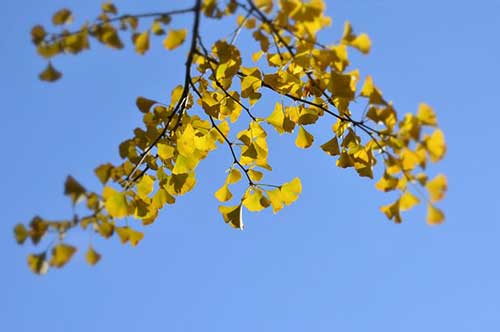 餐饮感谢顾客的话简短