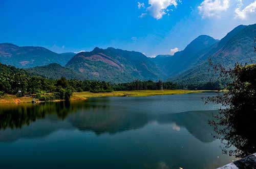 回来上班的句子