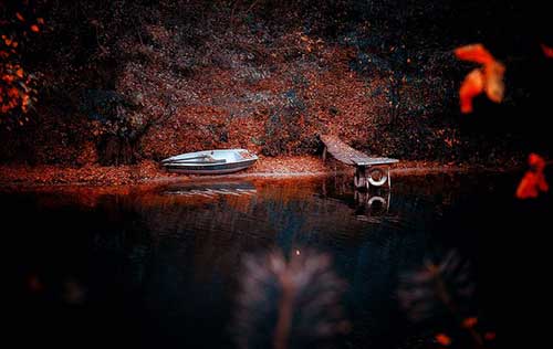 工作要细心负责的句子