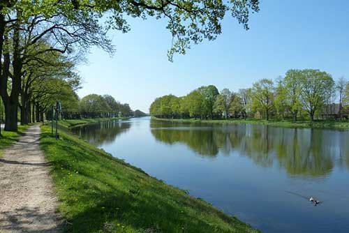 欢迎员工回来上班话语