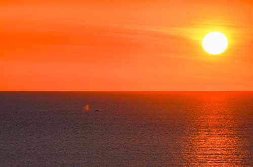 得道成仙的诗句