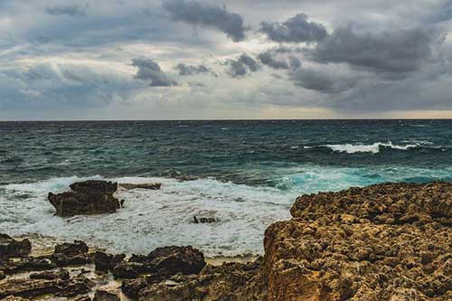 感谢伴侣的话语 暖心