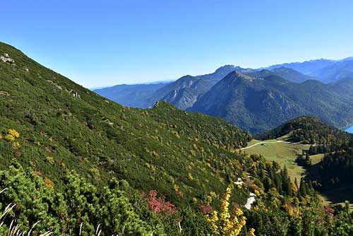 精进工作的经典句子