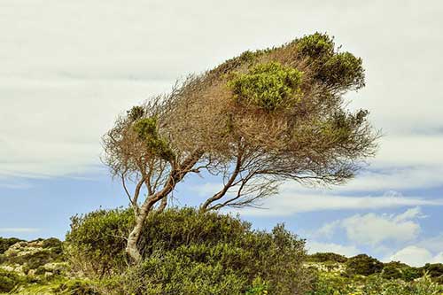 感谢老板发福利的句子