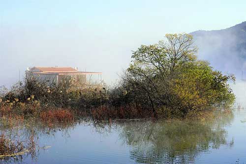 表达客户信任的感谢句子