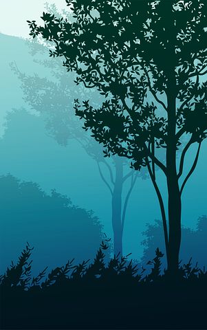 承蒙厚爱感谢陪伴句子