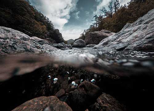 工作肯定表扬的话