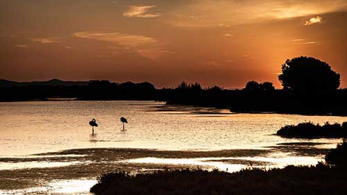 烟雨西湖唯美句子古风