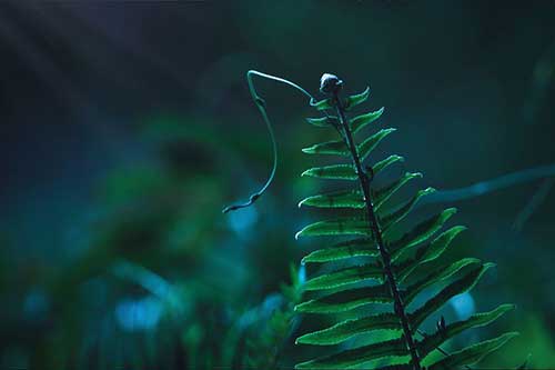 抒情的句子 唯美古风