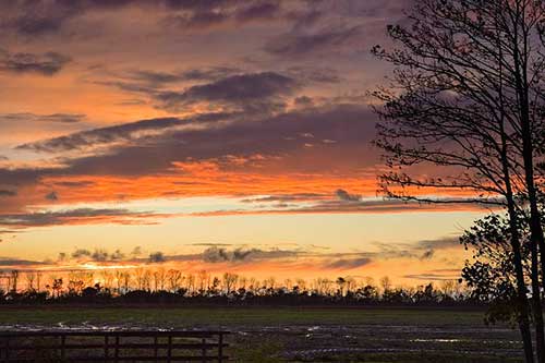写春的唯美古风句子