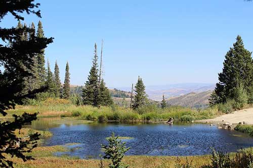 去新岗位祝福的话