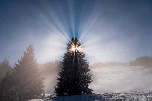 给高三生的鼓励的话