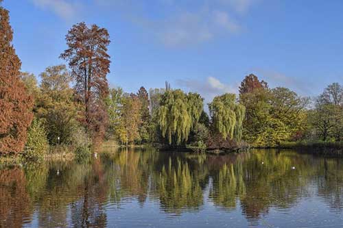 保姆感谢雇主的话