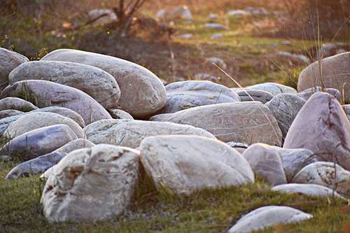 感恩父母的句子经典语录20字