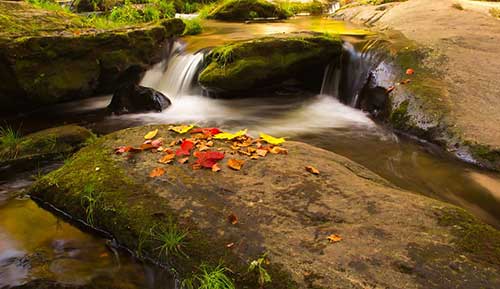 表示风大的幽默句子