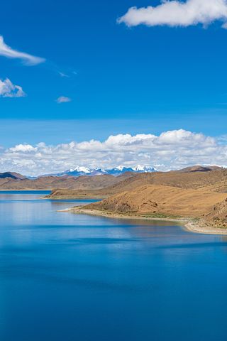 感谢客户购买产品的句子