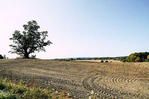 建议信高级句型
