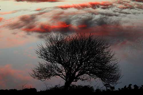 好句摘抄古风唯美
