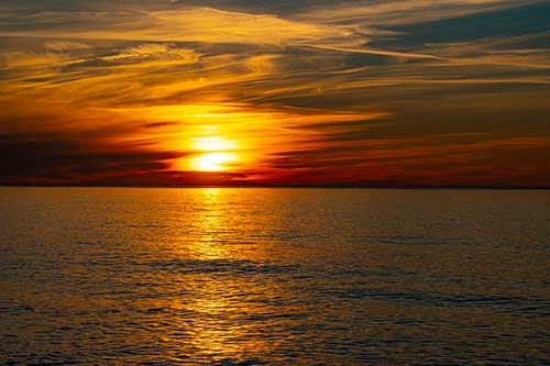 春天的感悟句子