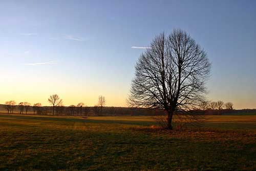 关心女孩子工作辛苦的话语