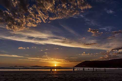 表达感谢的优美句子