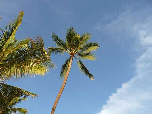 被爱包围的句子的生活感悟