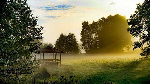 党员微感悟的句子最新