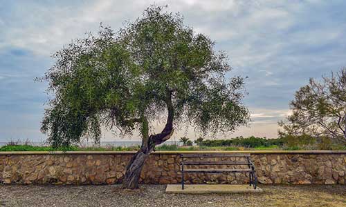 给自己打工的感悟的句子