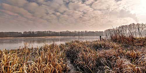 毕业论文致谢感谢父母的话