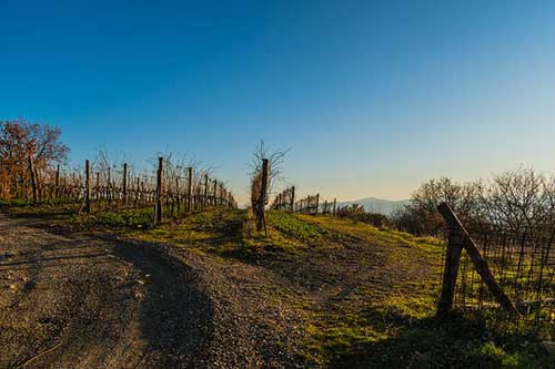 放下工作陪伴孩子的句子