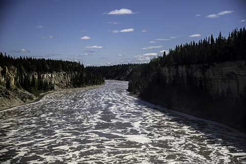 感想感悟的句子100字