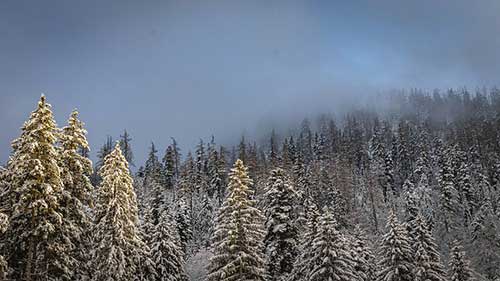 工作态度句子简短