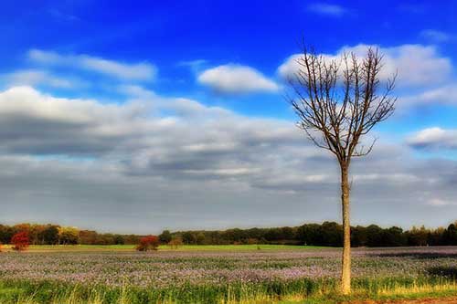 从医三十年感言好句