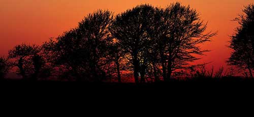 鼓励员工工作的经典语句