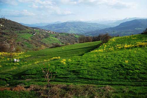 感恩会员的话语