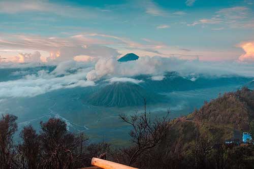 春天景色诗