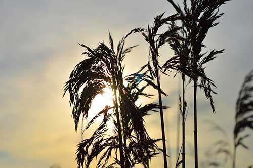 感谢顾客幽默风趣句子