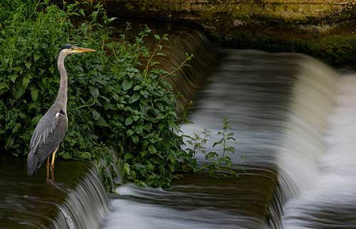 关于星辰的唯美古风诗句