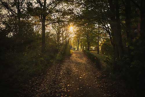 感情输给了距离的句子