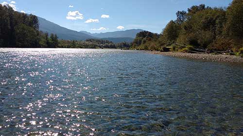 教师工作感言一句话