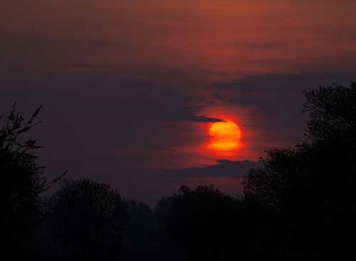 店铺结业感谢语录