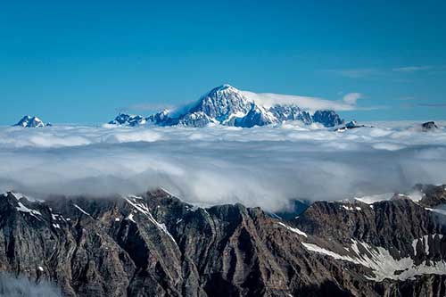 工作正能量一句话