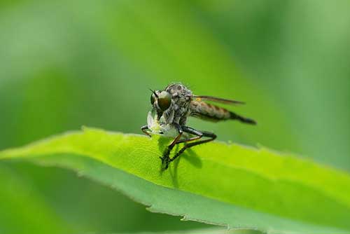 默默无闻工作的优美句子