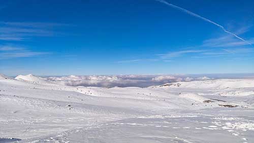 感叹青春遗憾的句子