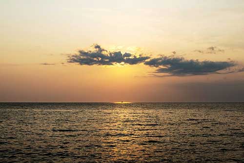 感慨夜生活的句子