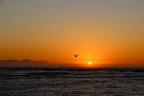 qq说说经典语句