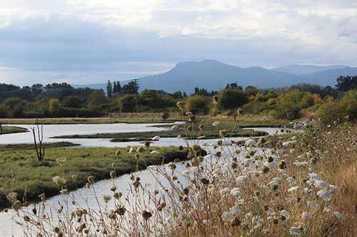 感谢员工的话语暖心