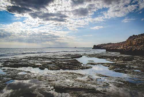 对老顾客的支持表示感谢的话语