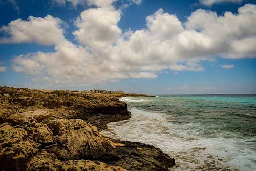 爱劳动懂感恩的句子